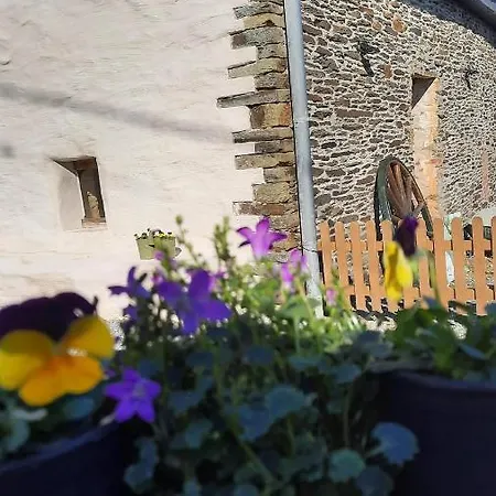 D'un Coin A L'autre Tatil Evi *