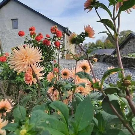 D'un Coin A L'autre *