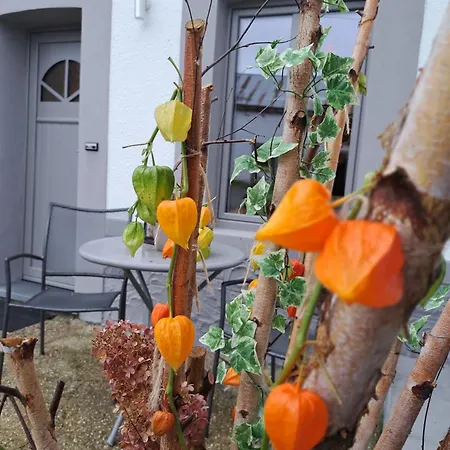 D'un Coin A L'autre Tatil Evi